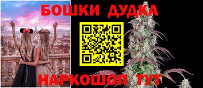 молекула духа Гатчина