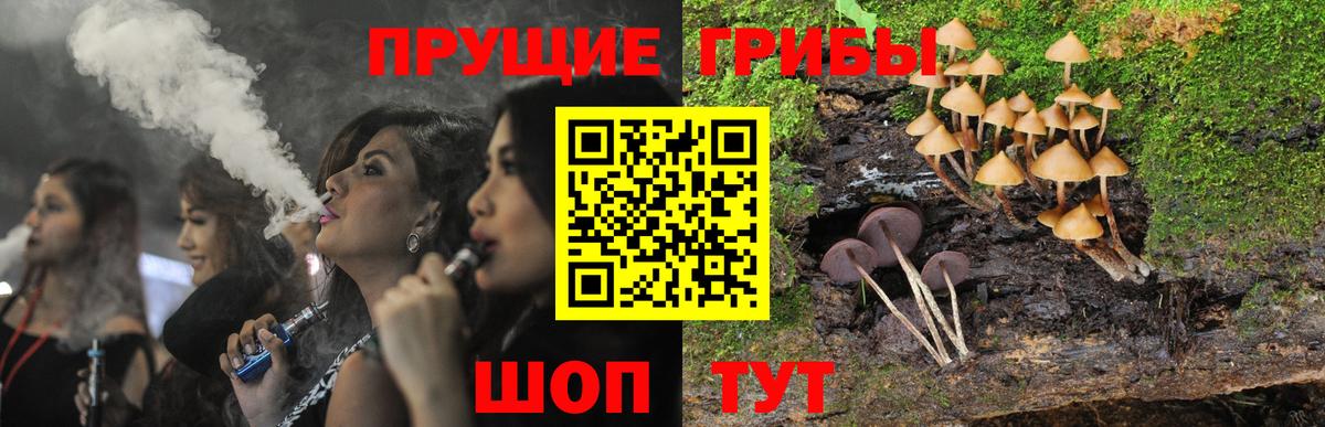 Гулькевичи  Галлюциногенные грибы ЛСД  Вход с VPN 